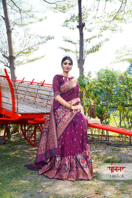 pashmina saree