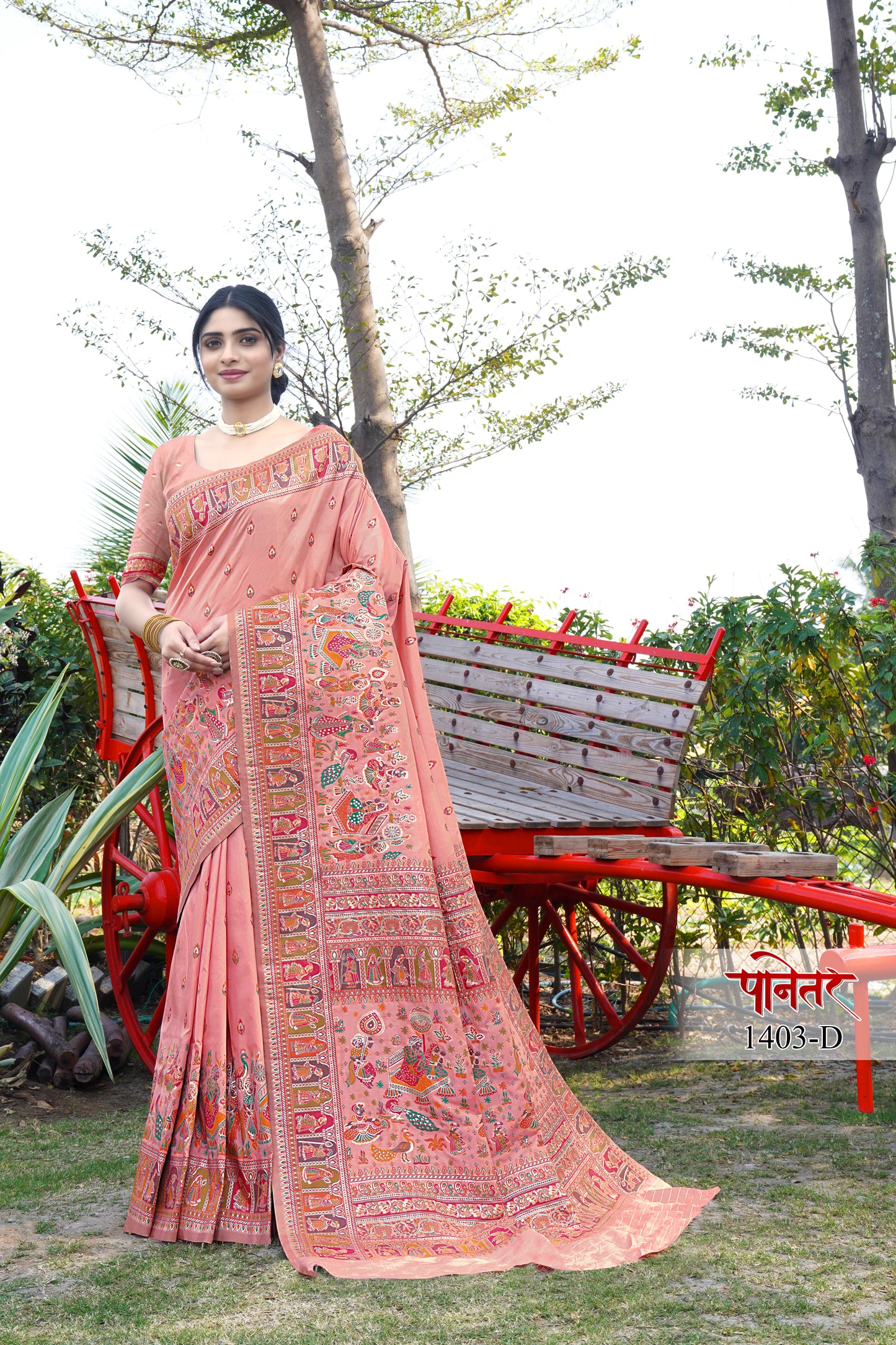 pashmina saree