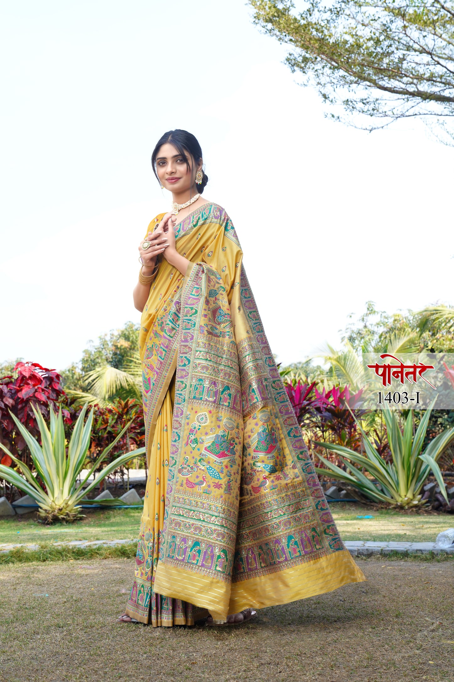 pashmina saree