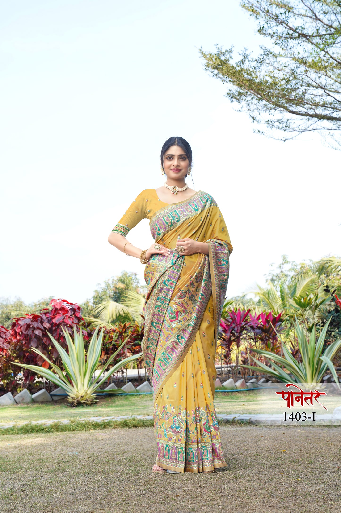 pashmina saree