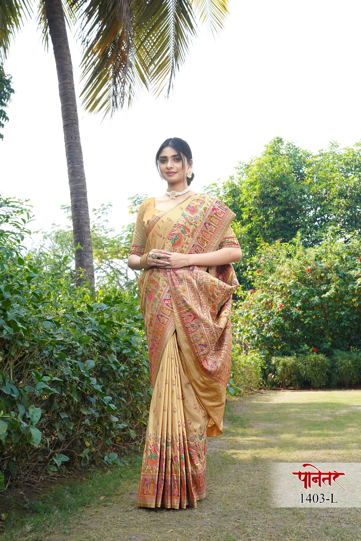 pashmina saree