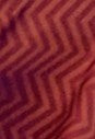 pashmina saree